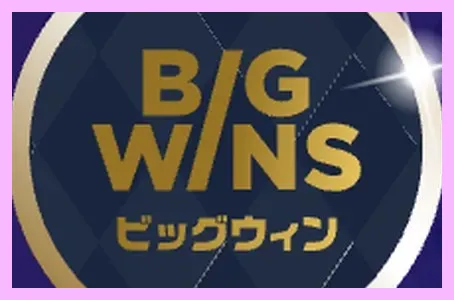ビッグウィンカジノ(BigWins Casino) レビュー【閉鎖】